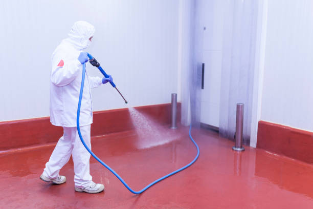 Best Roof Washing  in Waukomis, OK